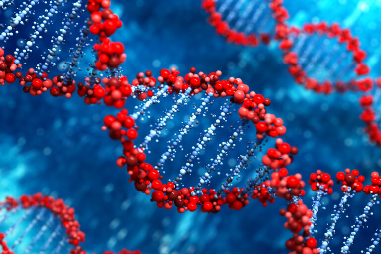 Anne Kanından Bebek DNA’sının Tespiti
