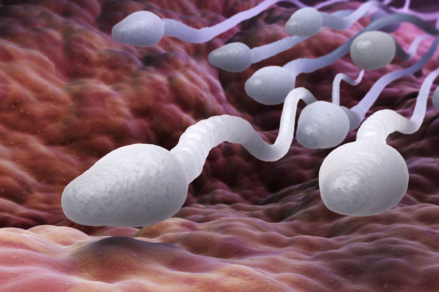 sperm tahlili sonuçları