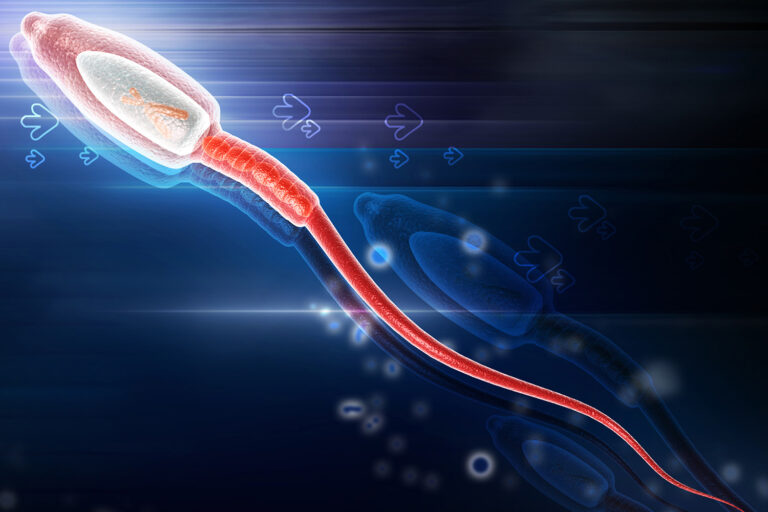 Spermlerde Oksidatif Stres ve DNA Hasarı